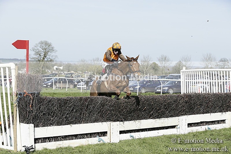 PtP 260317 285 - Mendip Farmers Point-to-Point Ston Easton 26/03/17