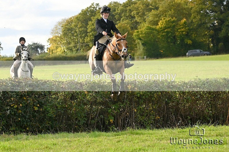 WJ6_5634 - Edited examples