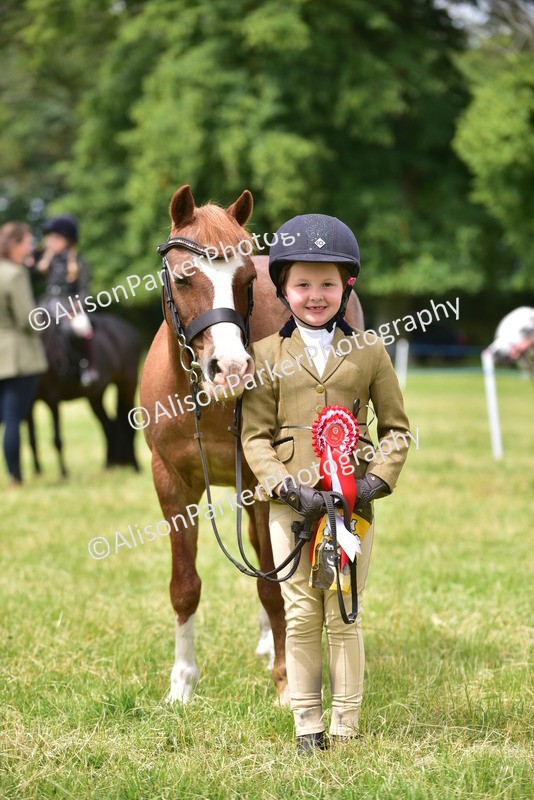 20260614-3727 - Class 15 - Prettiest Mare