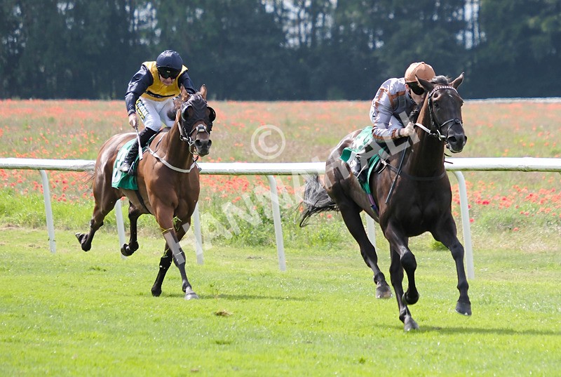 260724-Race 4-Yaajooz-02 - Race 4