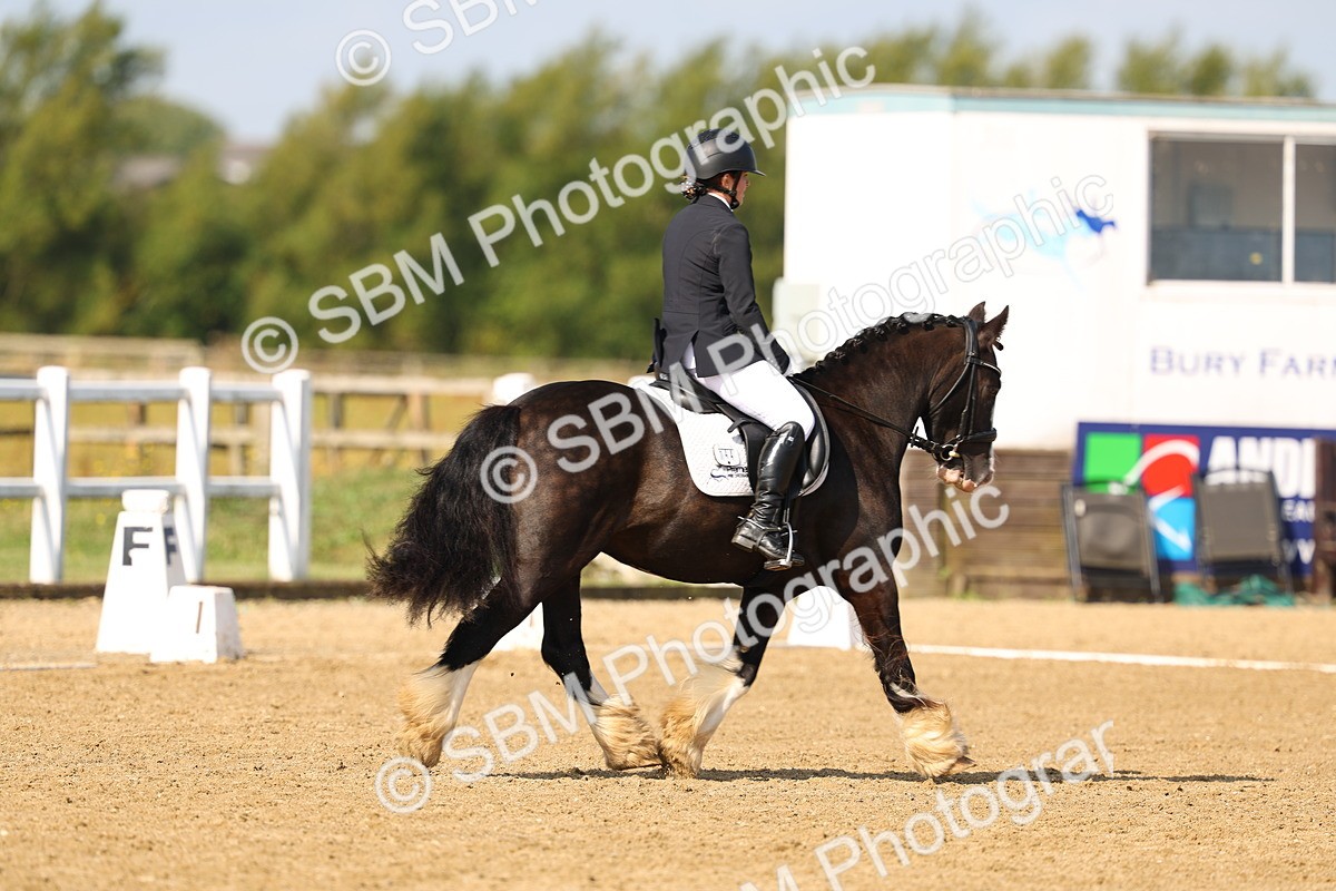 SBM_011234 - Class 2 - Prelim 19 - 10.08-11.18