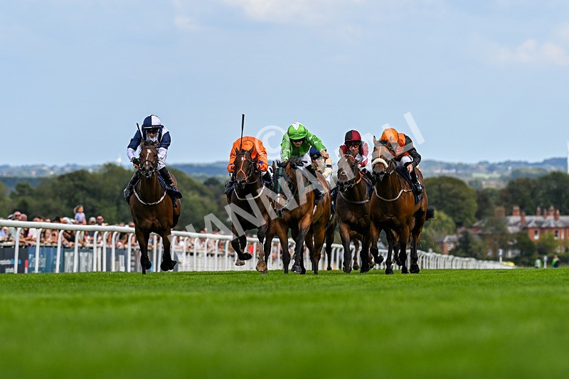 300826-Race 2-Jm Jungle-9520 - Race 2 2.15pm William Hill Beverley Bullet Sprint Stakes