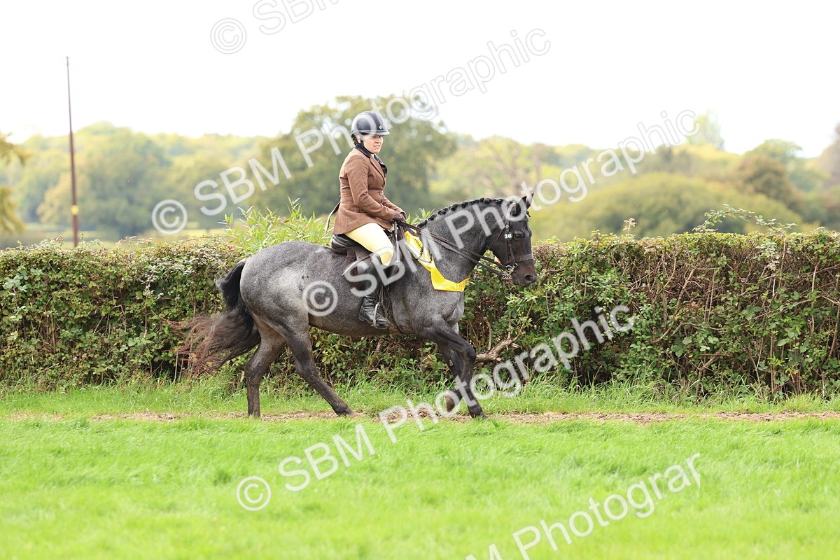 SBM_45147 - S27 - Young Veteran Ridden