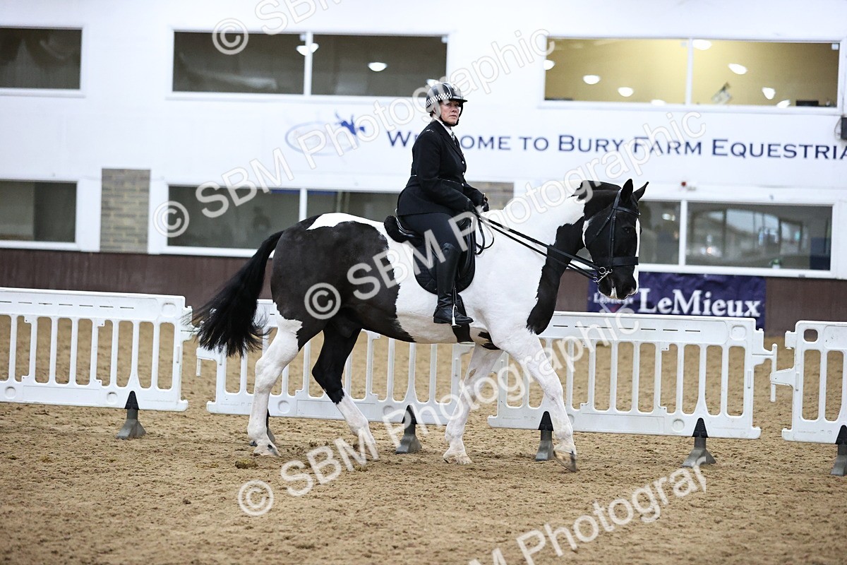 SBM_6340 - Class 45-42 - Ridden Irish Breeds-Ridden Cob