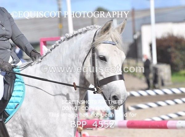 BPP_4552 - CLASS 9 HORSE 70CM FINAL