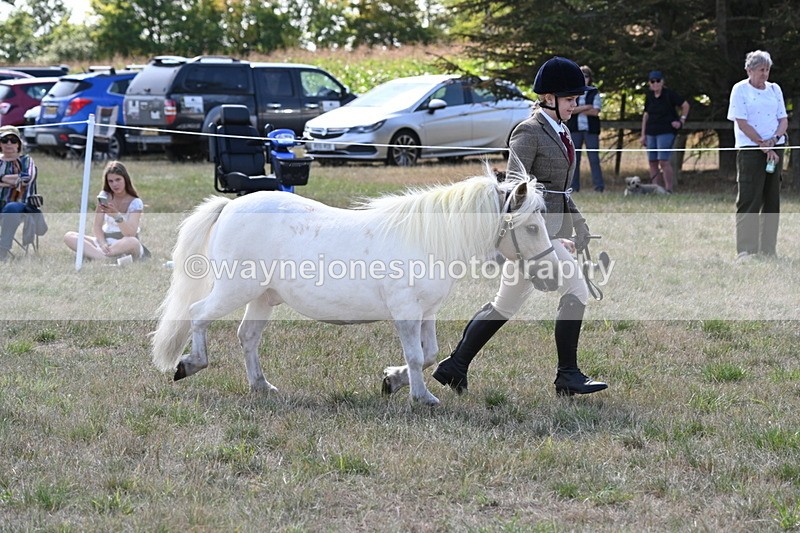 WJ6_4934 - Class 17 Mountain & Moorland