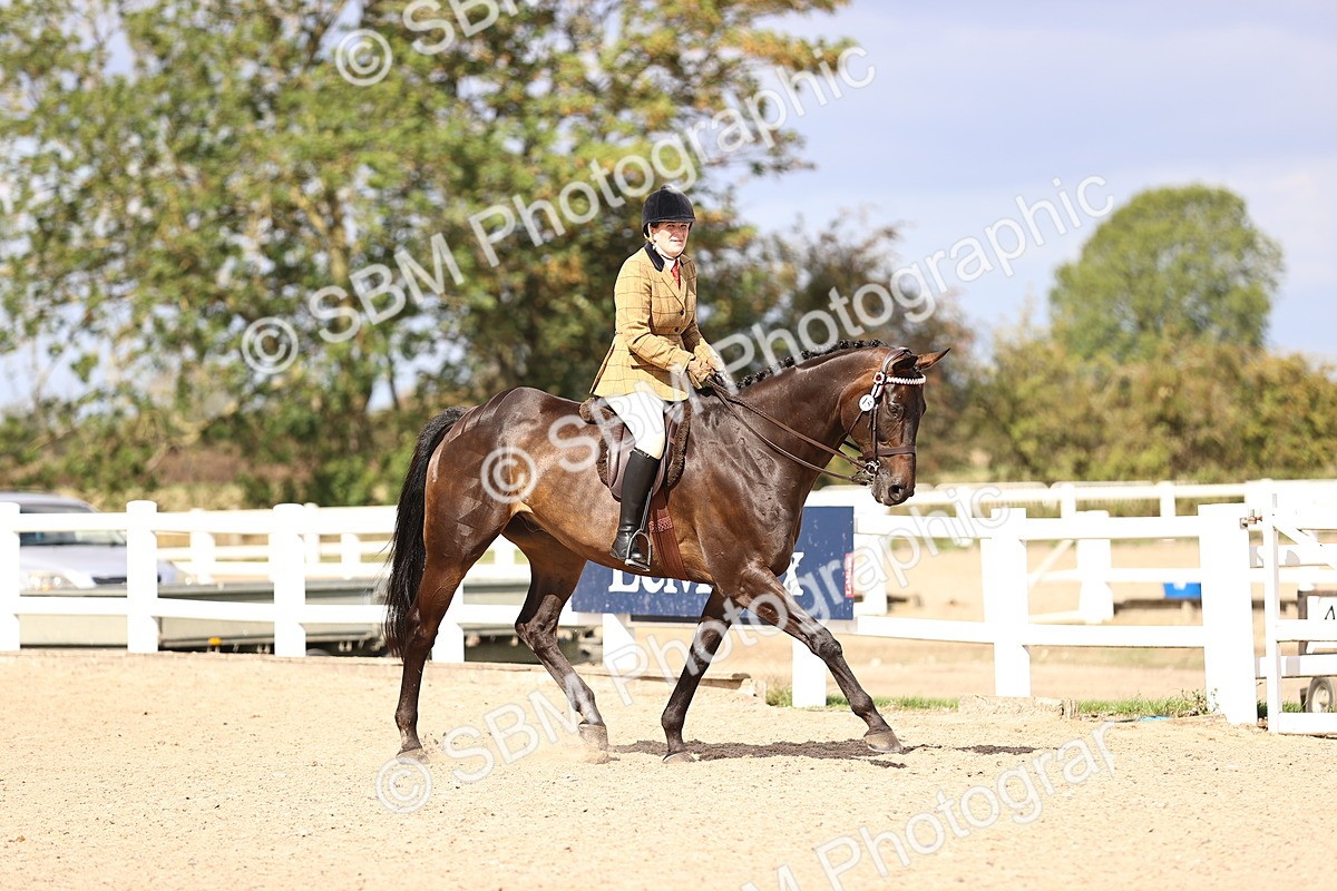 SBM_12913 - Class 410 - Grassroots Ridden - Horse