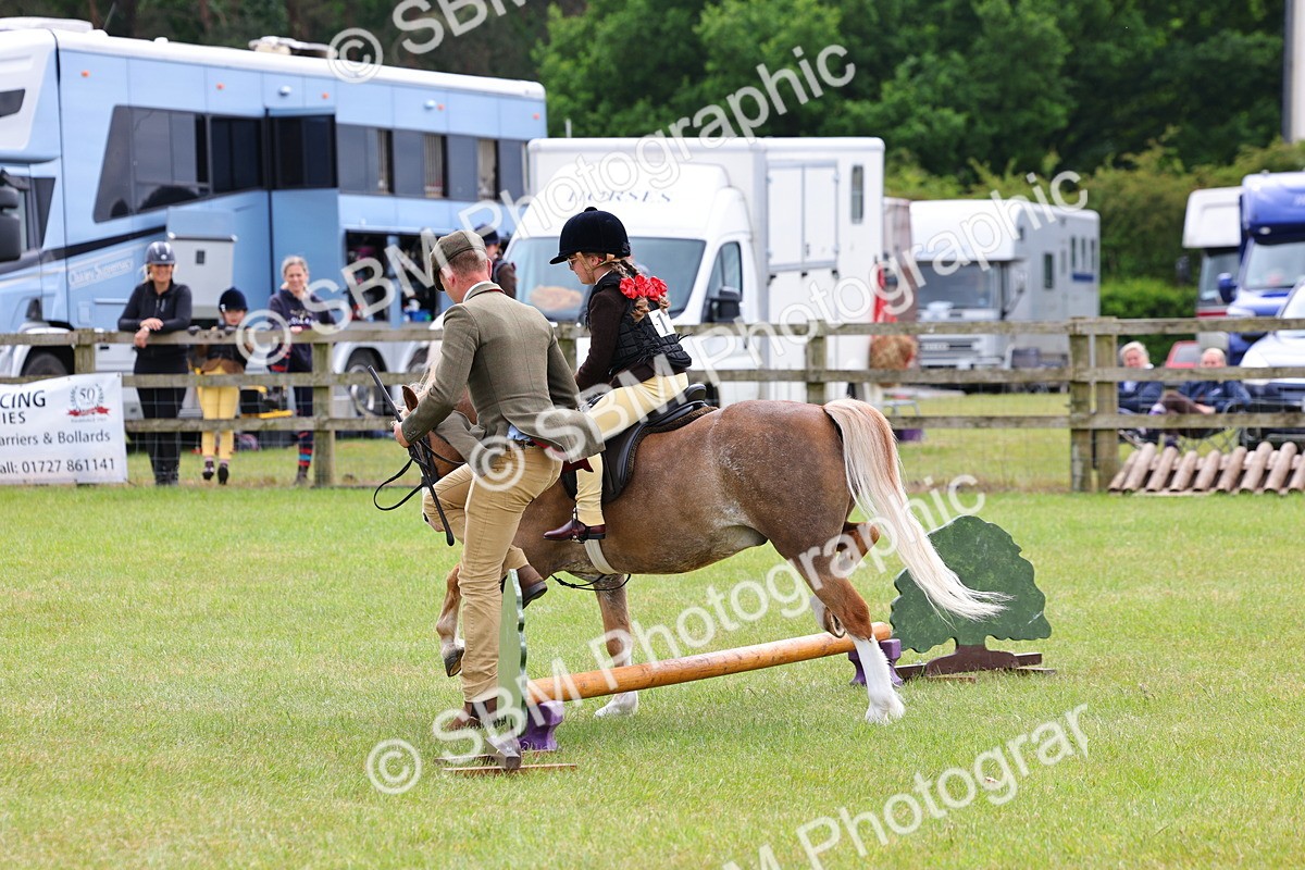 SBM_08180 - Class 42-43 - LIHS BSPS Heritage Working Sports Pony