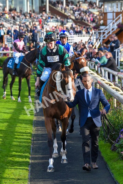 230923-Race 6-September Power-6878 - Race 6 4.55pm New To York Rio Brazilian Handicap