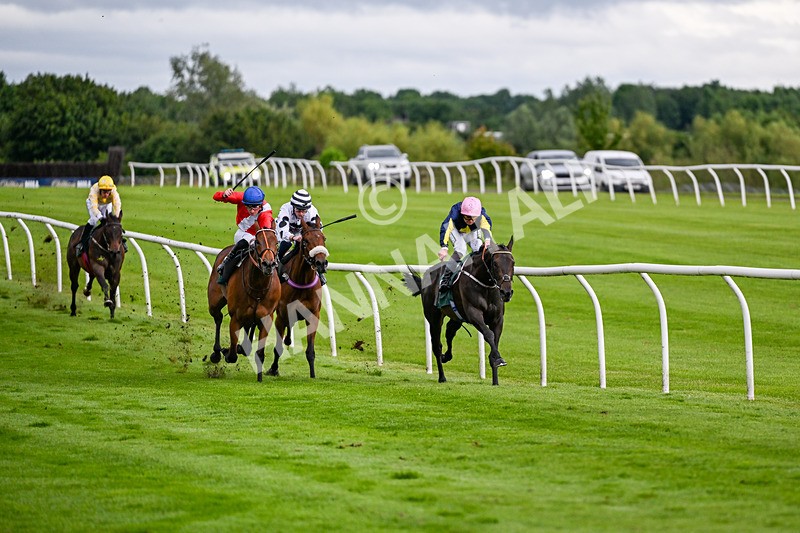110626-Race 2-Two Commanders-4364 - Race 2 18.52pm Bowel Cancer Screening Programme Saves Lives Novice Stakes