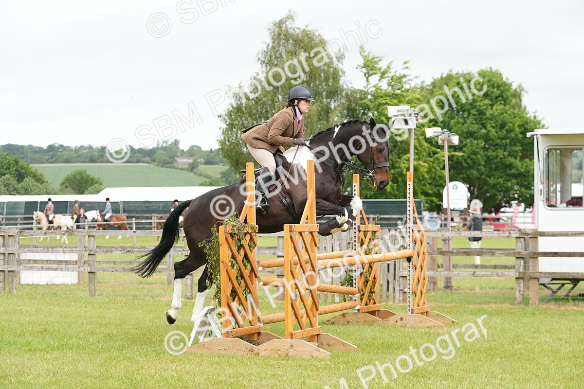 SBM_12564 - Class 97-98 - LIHS BSHA Rising Star Working Show Horse Hunter