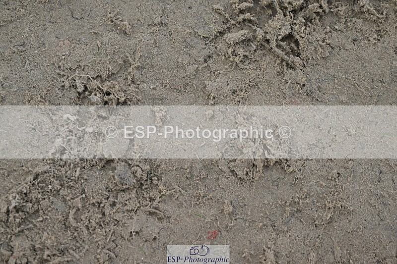 241110-161223-01401 - 80-85cm Arena Eventing