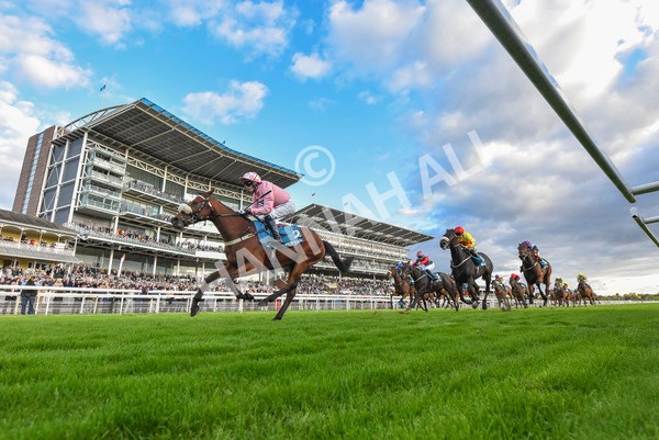 111024-Race 7-On The River-8266 - Race 7 4.55pm Ire Incentive, It Pays To Buy Irish Apprentice Handicap