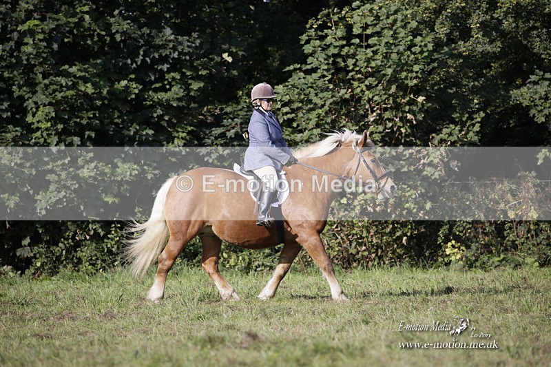 BVRC 120921 84 - Bourne Valley Riding Club UA Dressage & Show Jumping 12/09/21