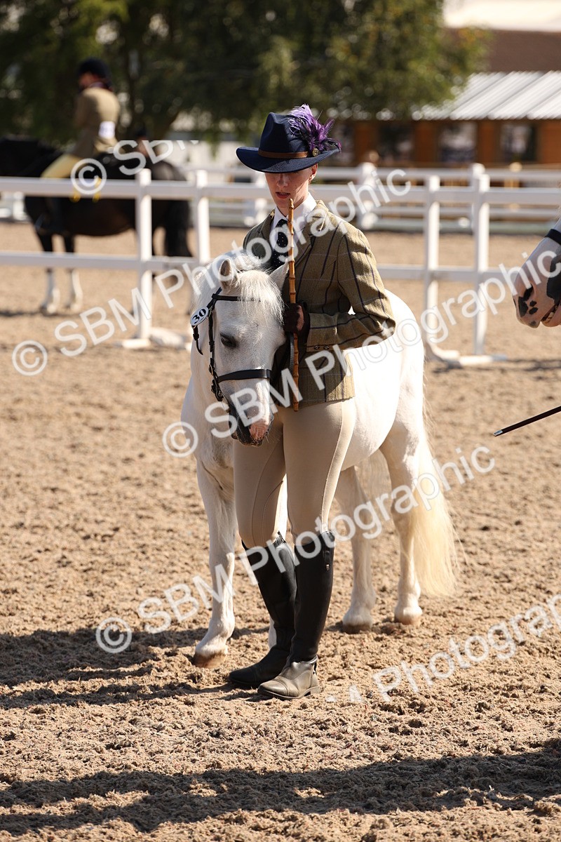 SBM_02813 - Class 16 IH M&M Wildcard