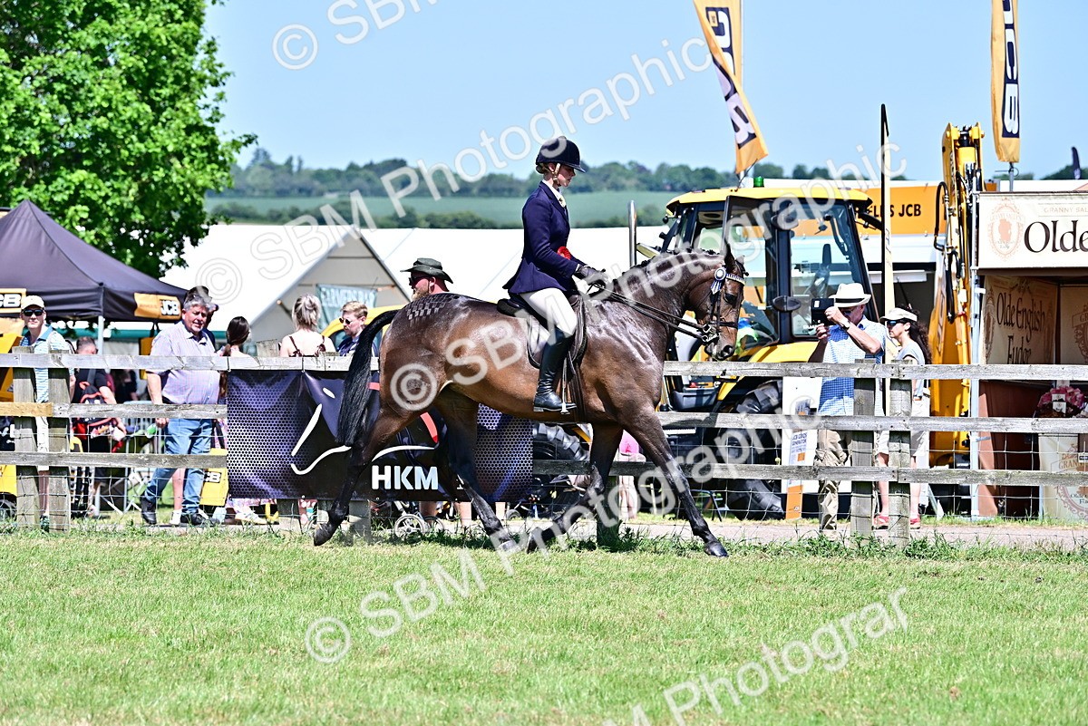 SBM_17539 - Class 95-97 - BSPS LHS Performance Ponies