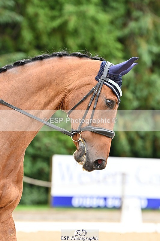 240811-105003-05020 - 163-Sue.Jackson-Verano