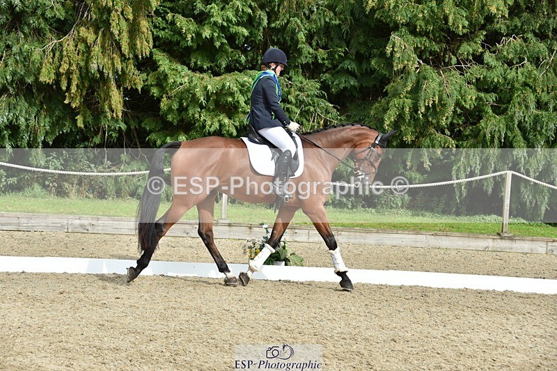 230812-160852-05412 - Novice Bronze Presentations