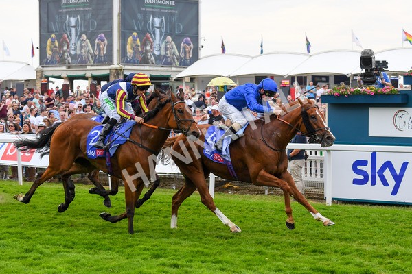 170623-Race 2-Wild Lion-0367 - Race 2 2.35pm Sky Bet Handicap