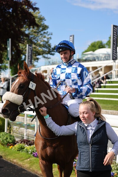 yr11052022r7-37 - Race 7 5.15pm British Stallion Studs EBF Novice Stakes