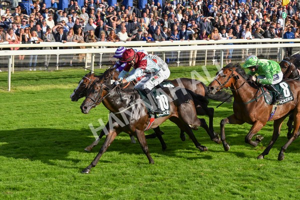 230923-Race 5-Vintage Clarets-6804 - Race 5 4.20pm Vickers.Bet Handicap