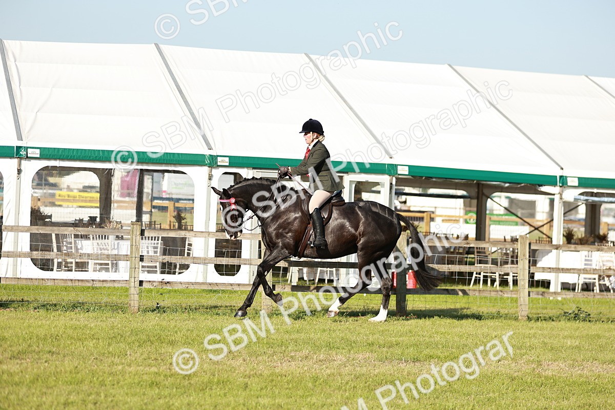 SBM_20105 - Class 115-116 - LIHS BSHA Rising Star Working Hunter & Show Horse