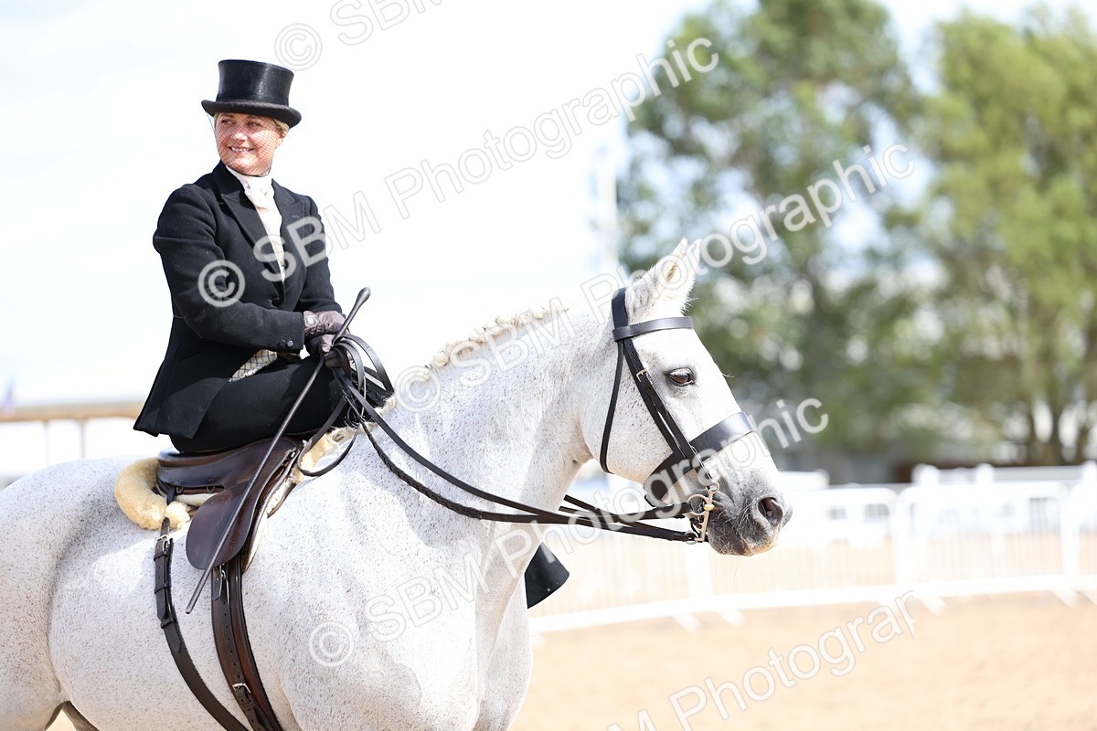 SBM_03264 - Class 22 - SSA Equitation (any age)