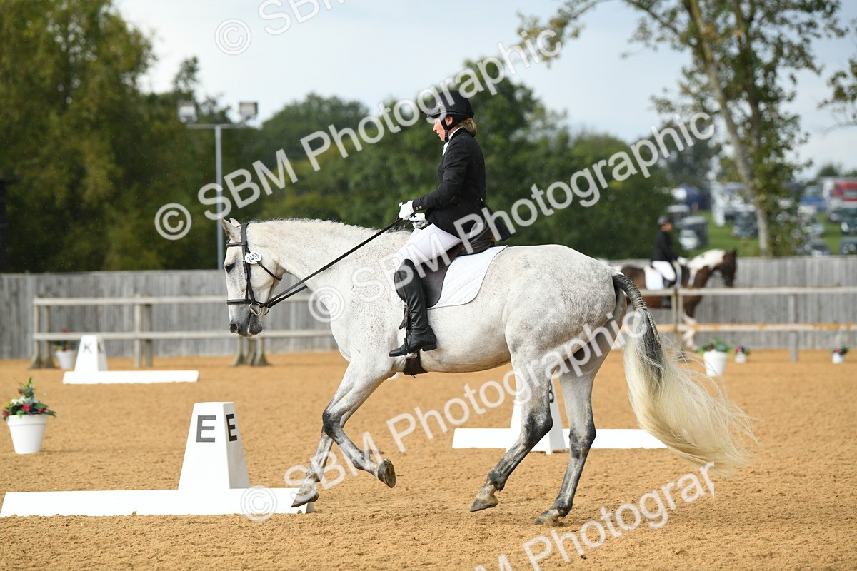 SBM_11183 - D28 Elementary Taster Elementary 42