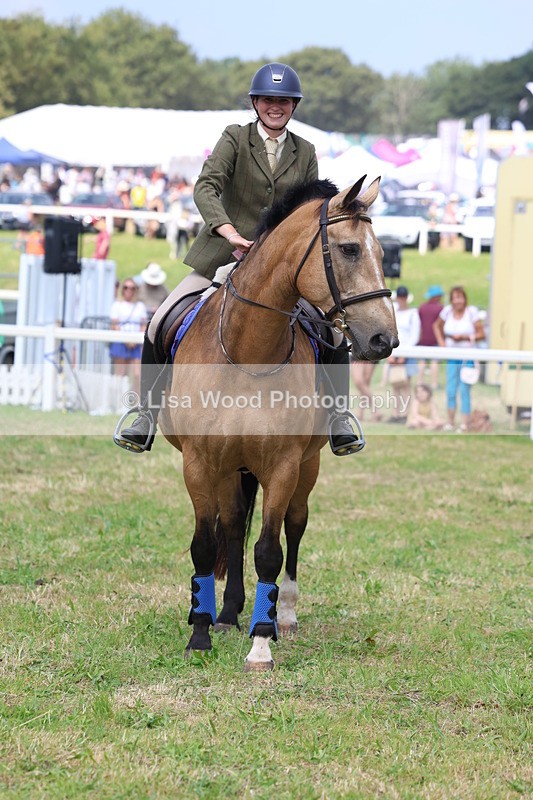 3E7A3034 - Class 7: Senior British Novice/90cm open