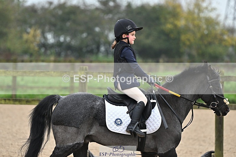241110-095108-00103 - 40cm Showjumping