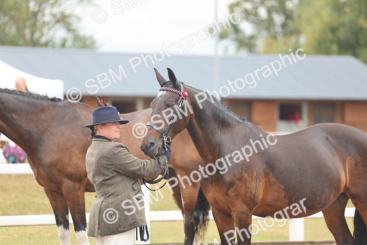 SBM_07786 - Class 27 - IH Competition Horse/Pony