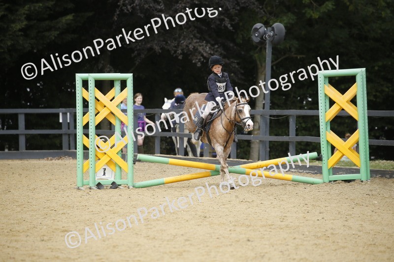 20250622-3801 - 50cm