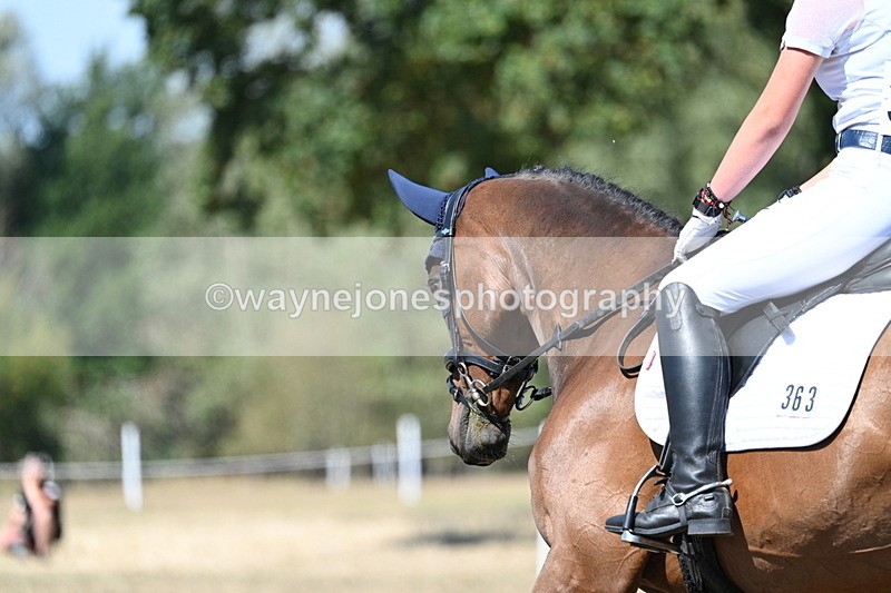 WJ7_1021 - Time 12:34 to 12:47