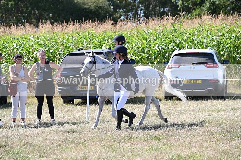WJ6_8011 - Class 36 Lead Rein
