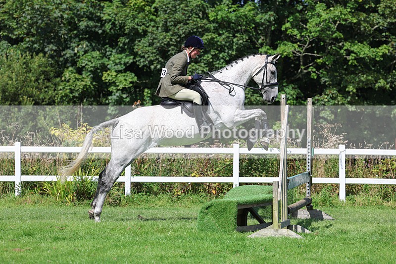 3E7A8576 - Class 5: Working Show Horse