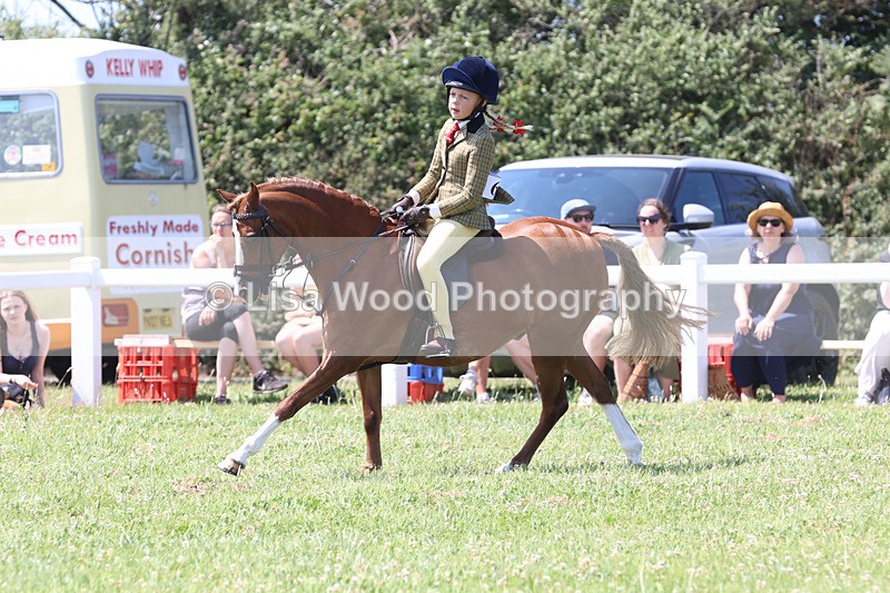 JPP_2751 - Class 21: Working Hunter 60cm