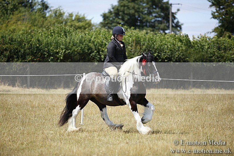 _C7A0005 - BVRC Show 2018 Ring 1