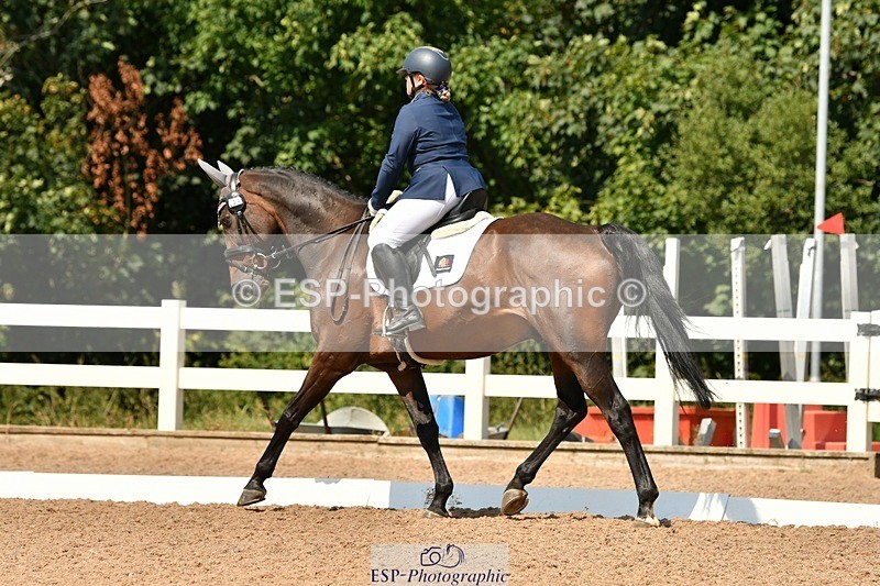 250817-134031-10033 - 033-Frankie.TorodeFirst.Impression.VI