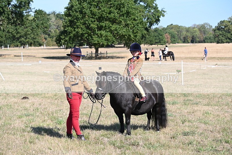 WJ6_7656 - Class 34 Judges Choice