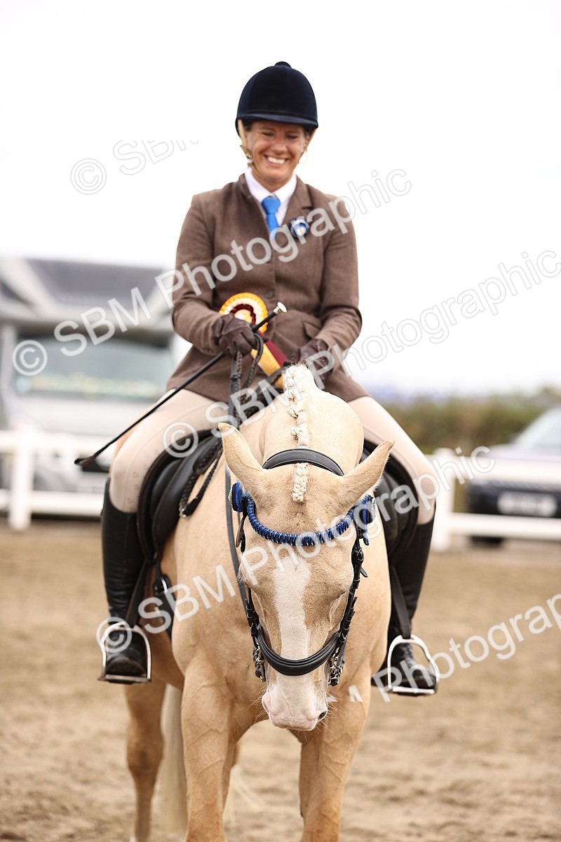 SBM_01445 - Class 54 - Riding Club Horse Pony