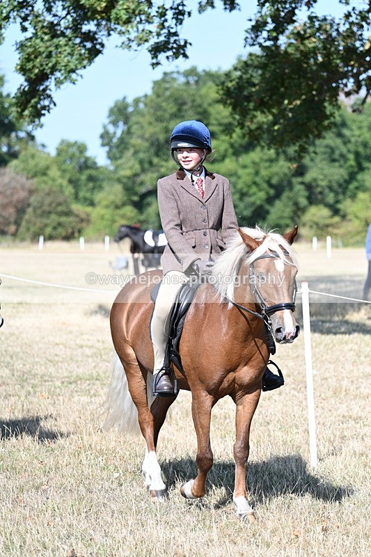 WJ7_3555 - Class 9 Mountain & Moorland Ridden