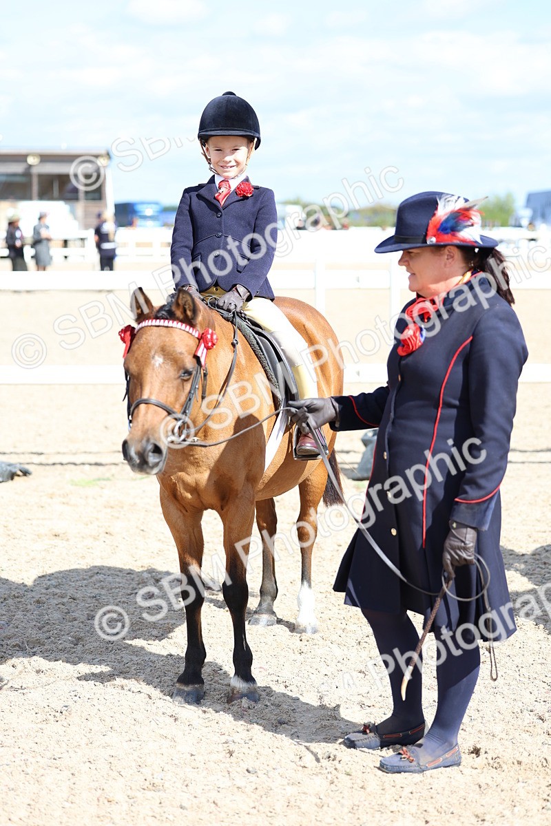 SBM_13065 - Class 309 - Lead Rein Pony