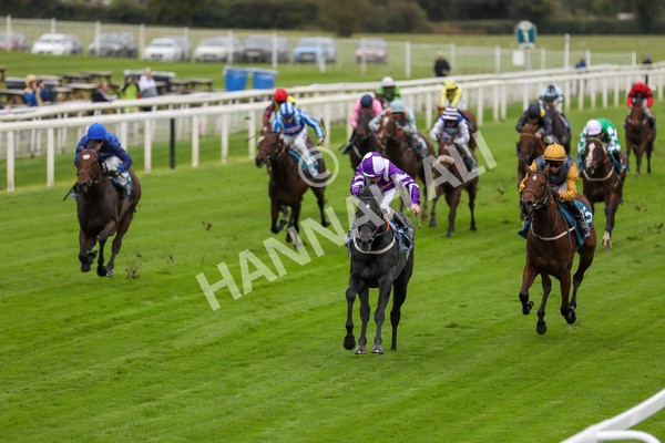 131023-Race 1-Pilgrim-9708 - Race 1 2.05pm William Hill EBF Novice Stakes