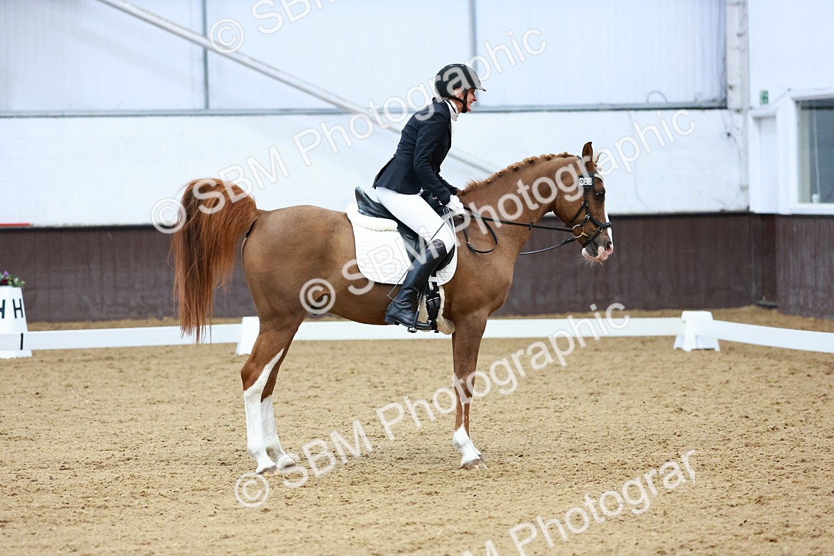 0B8A8123 - Class 5 - Novice 2