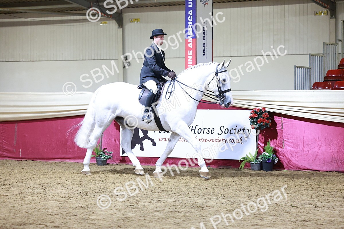 SBM_21125 - class Q - Ridden Horse Champ