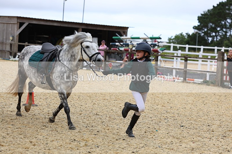 3E7A9559 - Walk trot run