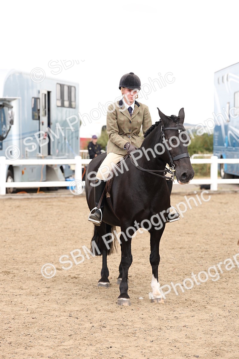 SBM_02941 - Class 53 - Ridden Competition Horse/Pony