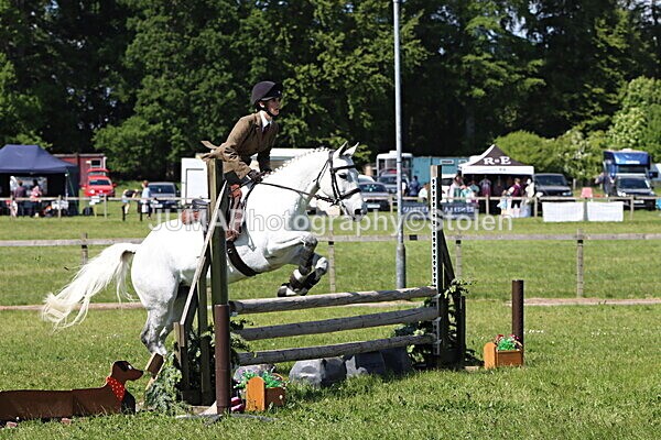 IMG_4509 - Working Hunter