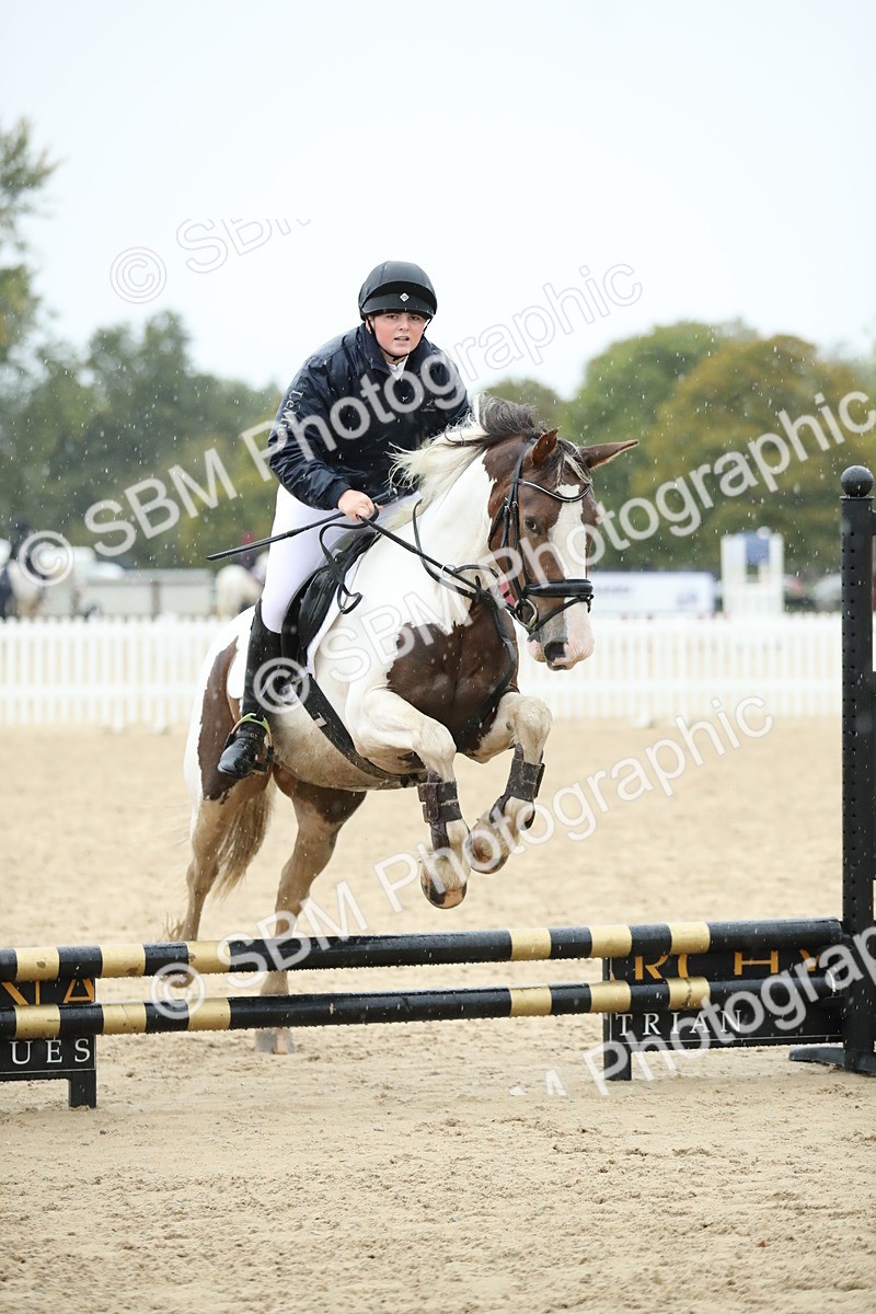 SBM_37119 - J20 - Junior Horse 50cm Championship