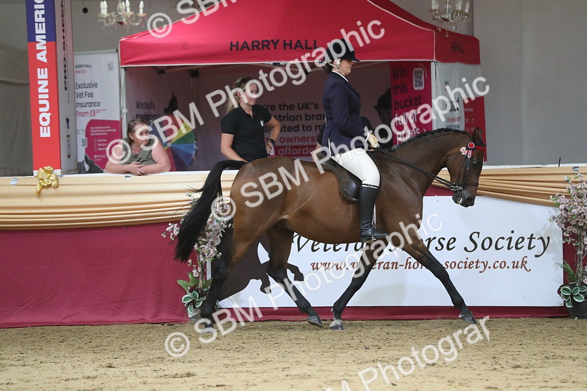 SBM_08386 - Class 11R Regional Ridden Veteran